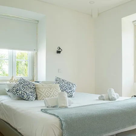 Casa Da Maria By Viva A Vida - Alojamentos & * Constância